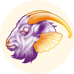 Capricorn zodiac icon